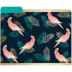 Lady Jane | File Folders-Tropical Nights 9pc